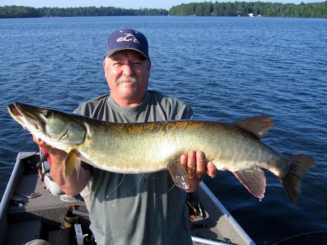 Wisconsin's Clear Lake, pretty fish...40"