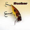 Sucker