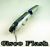 Cisco Flash