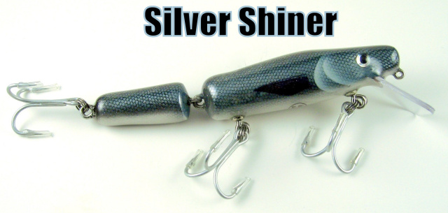 Silver Shiner