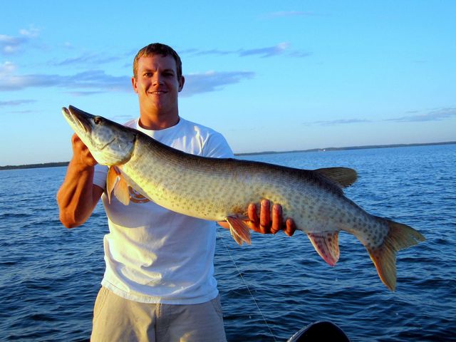 Nice fat fish....42"