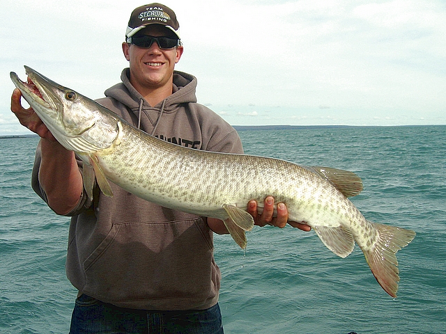 Bret and real clean fish....42"