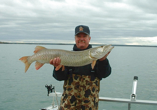 Decent fish on cold, cold  Nov. day.