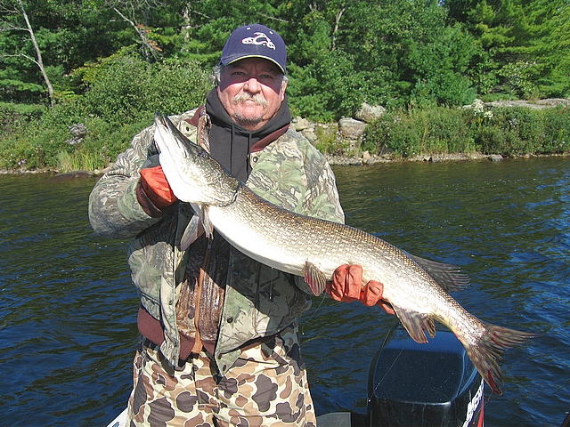 38" pike 9/18/08 Georgian Bay