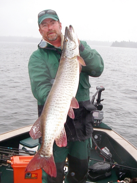 Another nice Eagle Lake Musky fall 2010