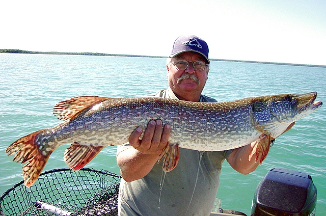 40" pike..bonus fish