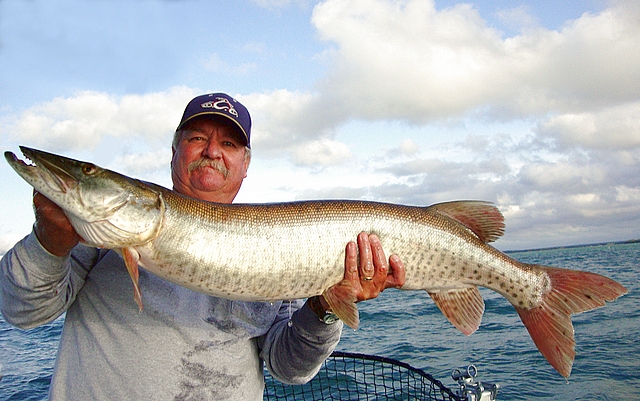 Nice 42 inch fish 9/26/2009