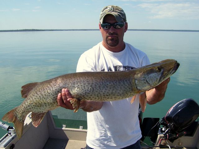 Mr. Eby with his first, nice 41" fish.
