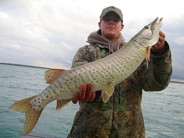 Bret with real scrappy Musky
