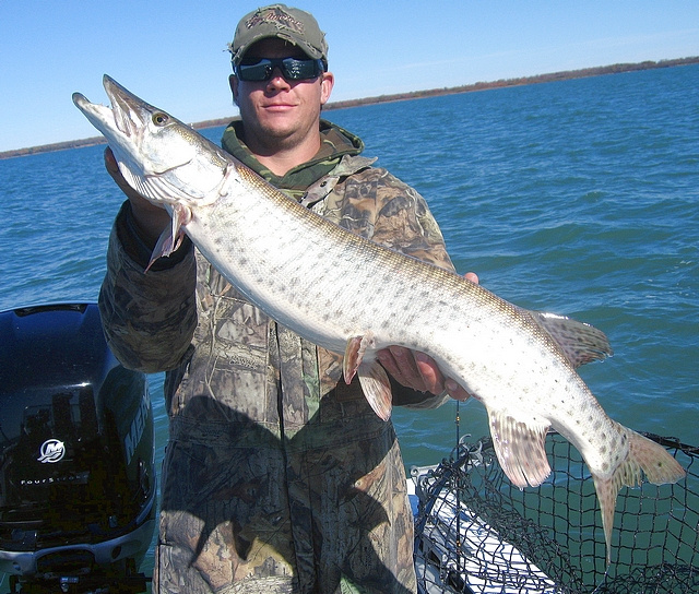 My son and open water Musky