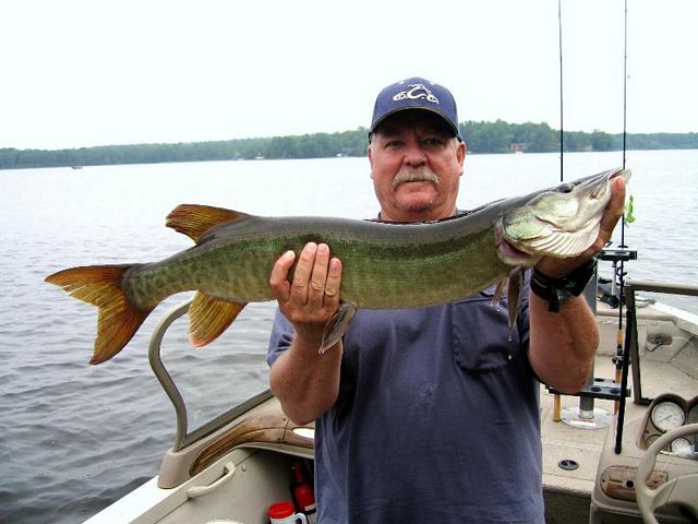 Not big but fiesty,  Butternut Lake WI