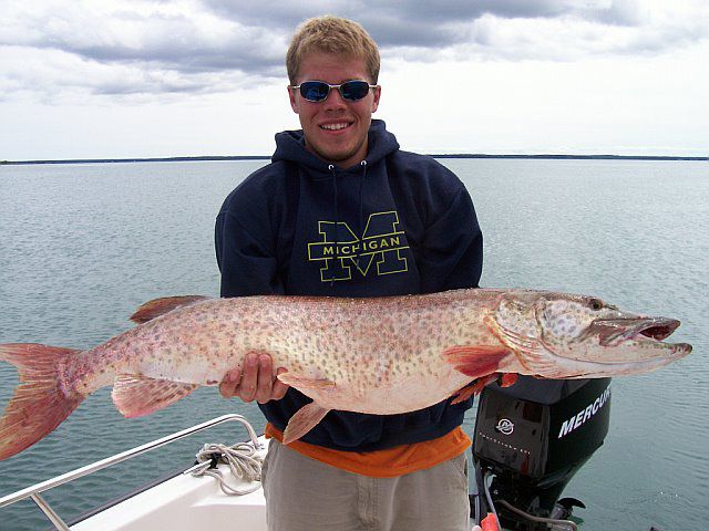 First Musky, nice 44 inch fish.