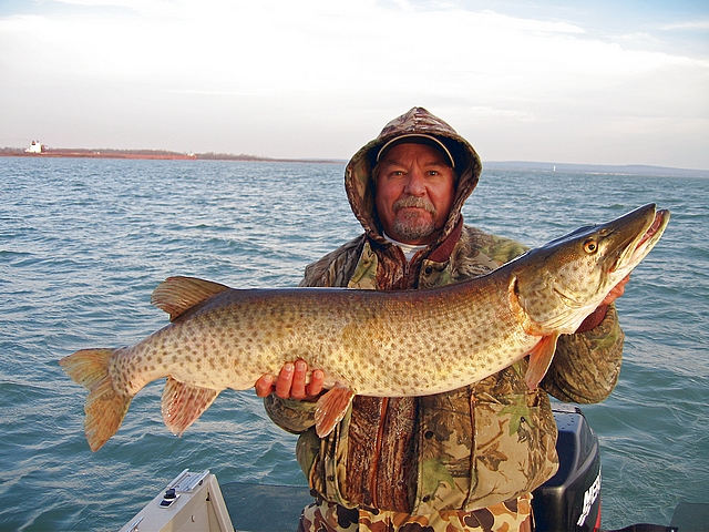 Late November produces....44"