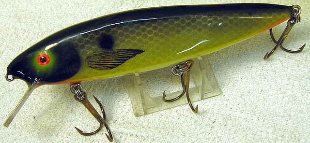 Dark Shad