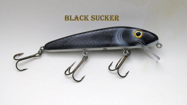 Black Sucker