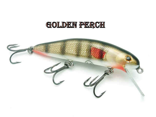 Golden Perch