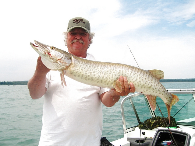 1st Musky of the year, June 2012