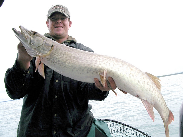 Bret with nice 42" ski on the bullseye!