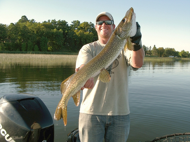 Wolf Lake Minnesota more pike