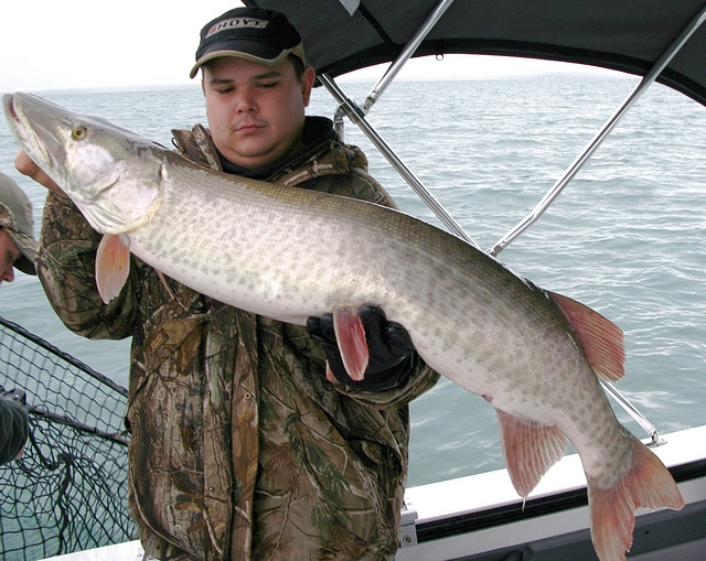 Ryan Malloy and 1st Musky, 46"