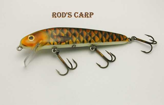 Rod's Carp