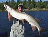 50 + from Eagle Lake Ontario 9/09