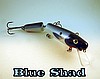 Blue Shad