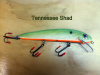 Tennessee Shad