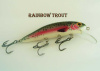 Rainbow Trout