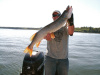 Cass Lake Minnesota Pike